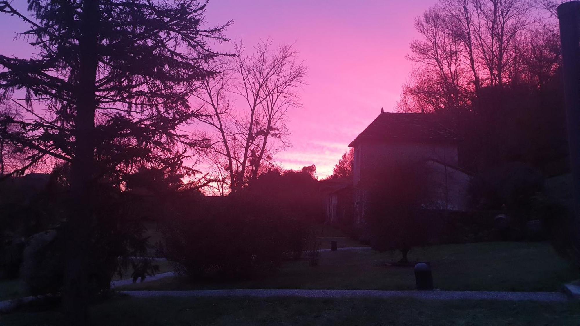 Chateau De Courtebotte Saint-Jean-de-Blaignac Esterno foto