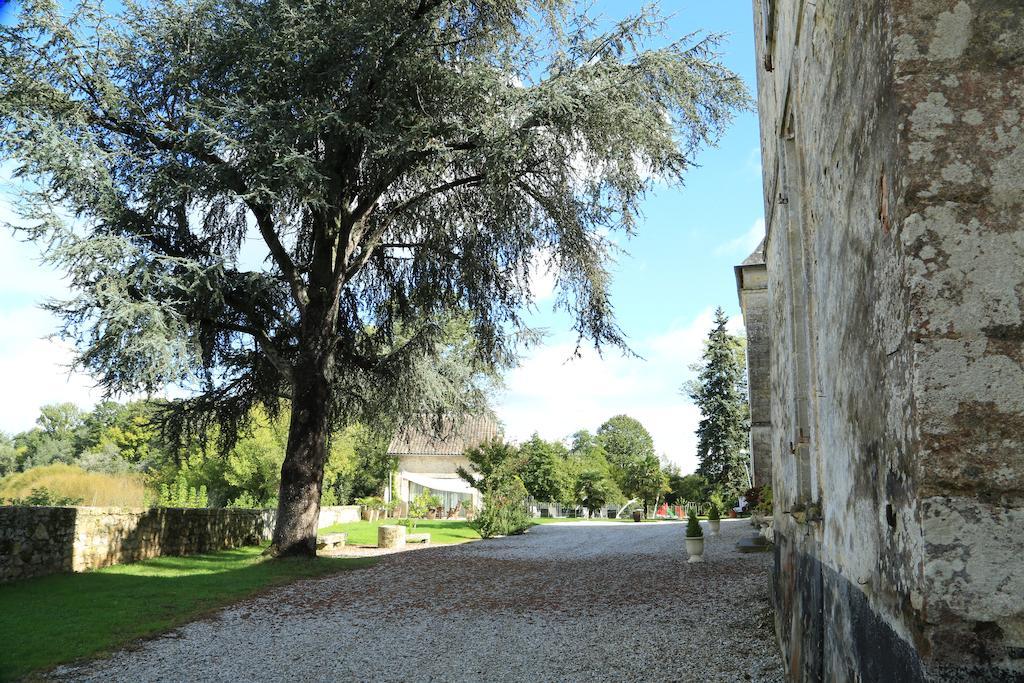 Chateau De Courtebotte Saint-Jean-de-Blaignac Esterno foto